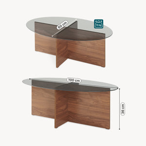 Konferenční stolek Viroya s skleněnou deskou 100x60x36 cm ořechový vzhled/šedý [en.casa]