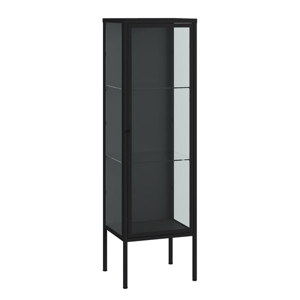 Vitrínová skříň Borshavisa 116x34x30 cm ocel černá [en.casa]
