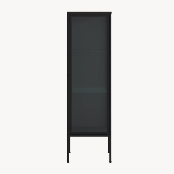 Vitrínová skříň Borshavisa 116x34x30 cm ocel černá [en.casa]