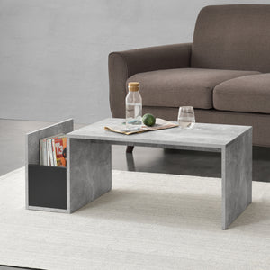 Konferenční stolek Bollnäs 90x45x35 cm s odkládacím prostorem různé barvy en.casa