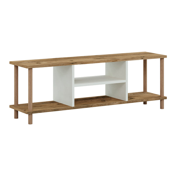 Televizní stolek Ærøskøbing se 2 odkládacími přihrádkami 43x120x29 cm různé barvy [en.casa]